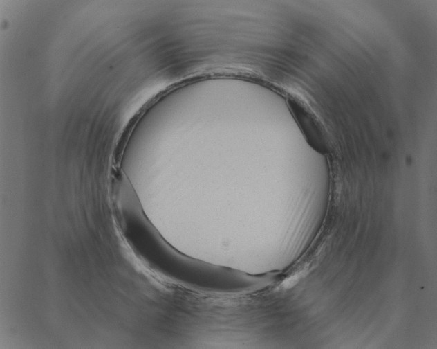 X0000087391038200705181302