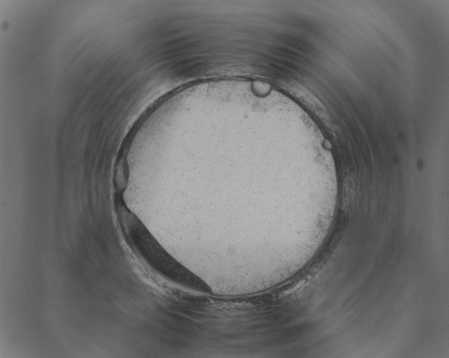 X0000087391039200705181302