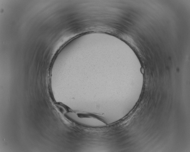 X0000087391040200705181302