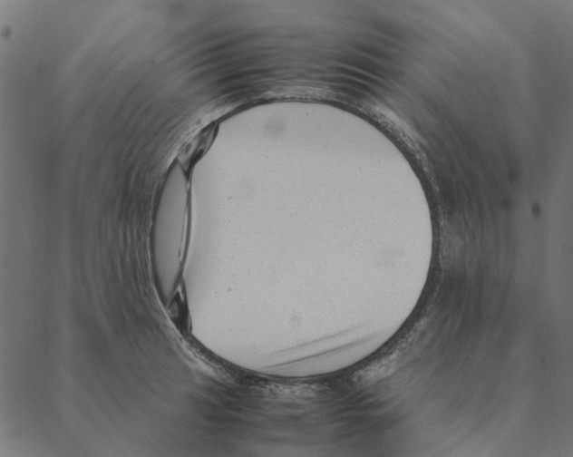 X0000087391041200705181302