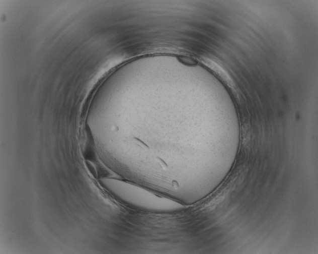 X0000087391043200705181302