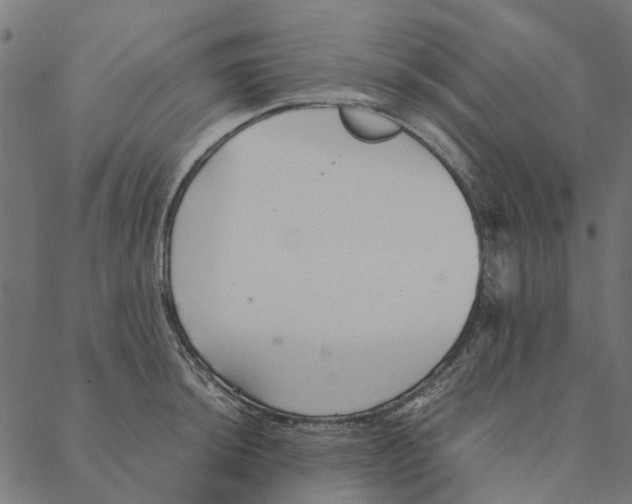 X0000087391044200705181302