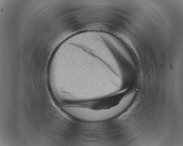 X0000087391045200705181302