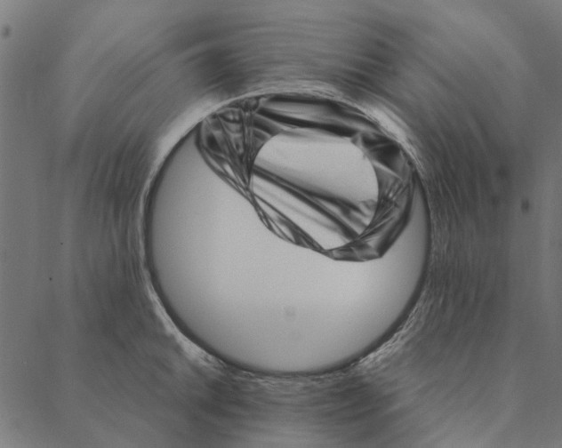 X0000087391046200705181302