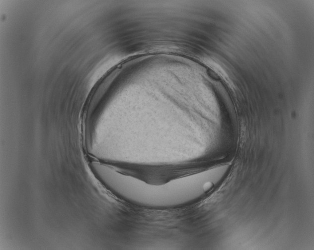 X0000087391047200705181302