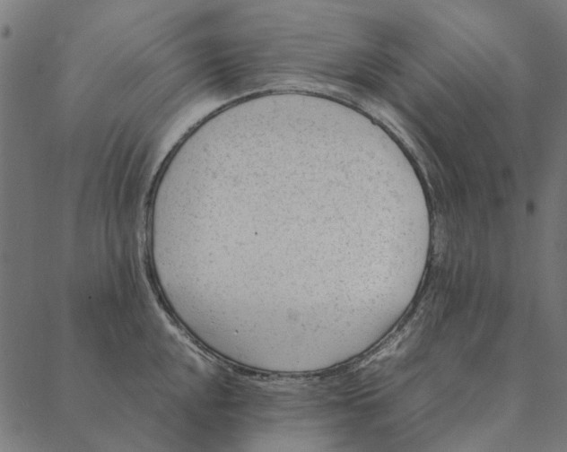 X0000087391048200705181302