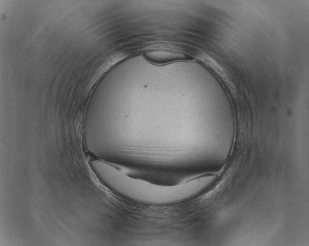 X0000087391049200705181302