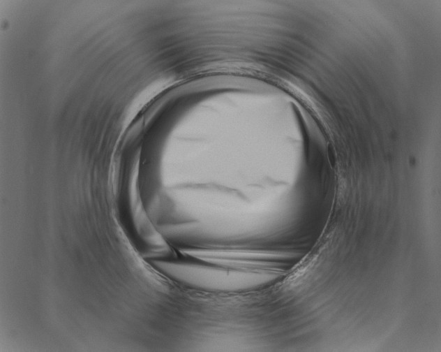 X0000087391050200705181302