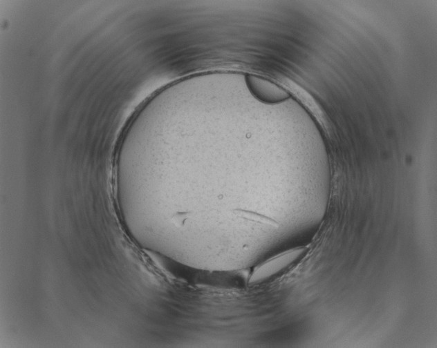 X0000087391051200705181302