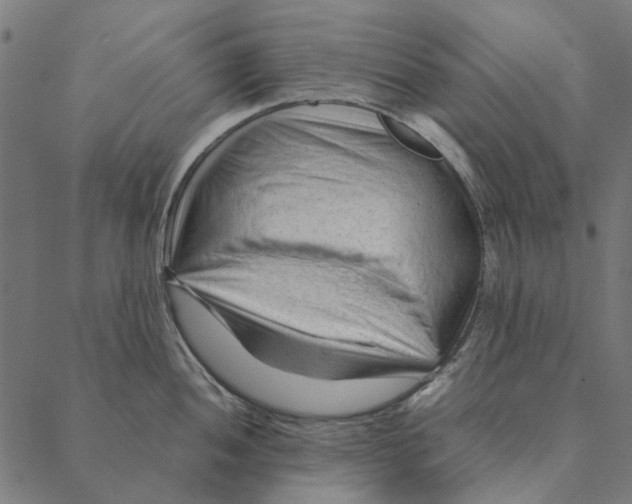 X0000087391052200705181302