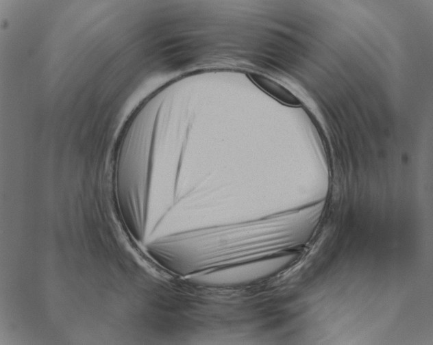 X0000087391053200705181302