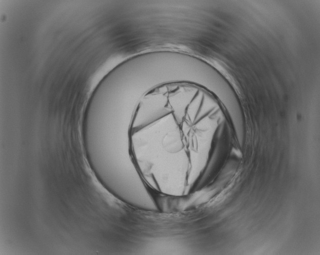 X0000087391054200705181302