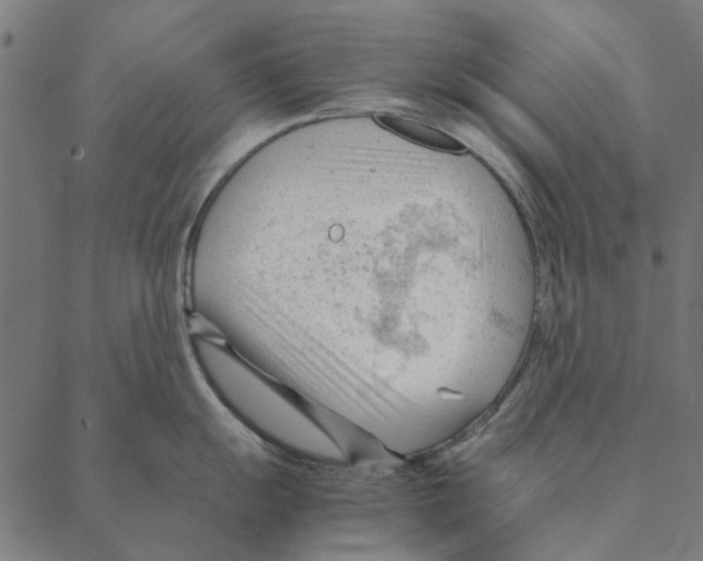 X0000087391055200705181302