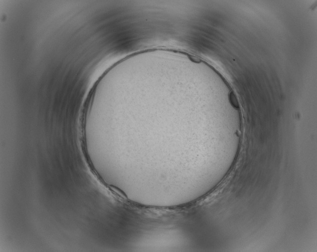 X0000087391056200705181302