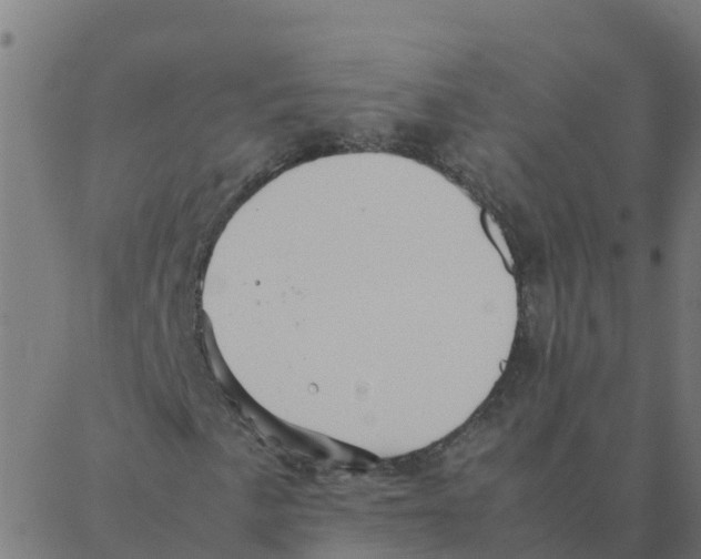 X0000087391057200705181302