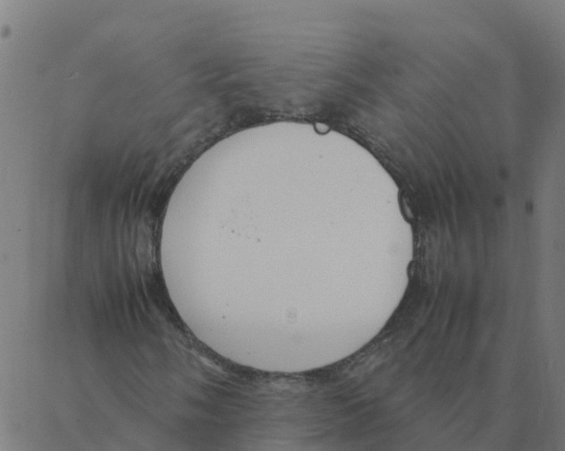 X0000087391058200705181302