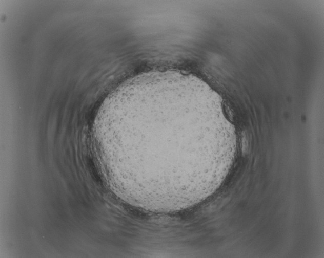 X0000087391059200705181302