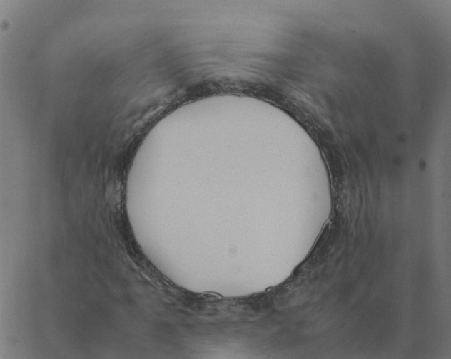 X0000087391061200705181301