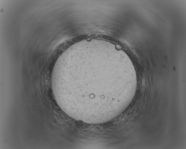 X0000087391063200705181301