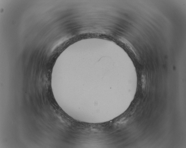 X0000087391064200705181301