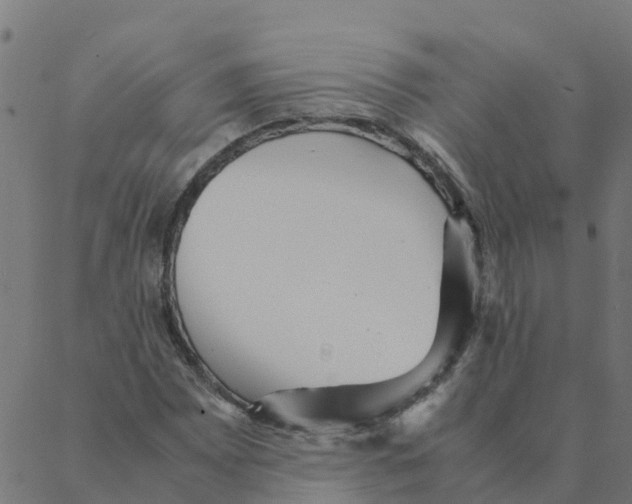 X0000087391065200705181301