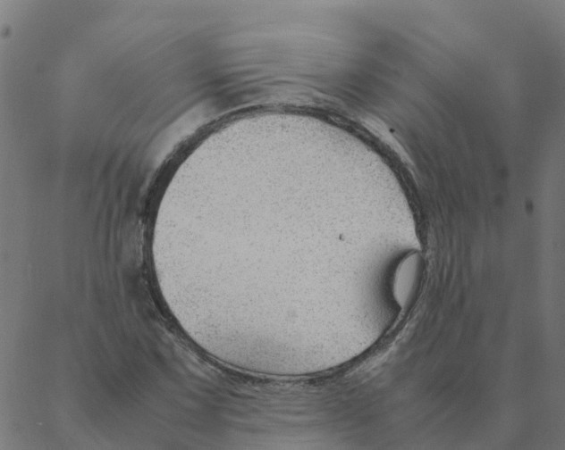 X0000087391067200705181301