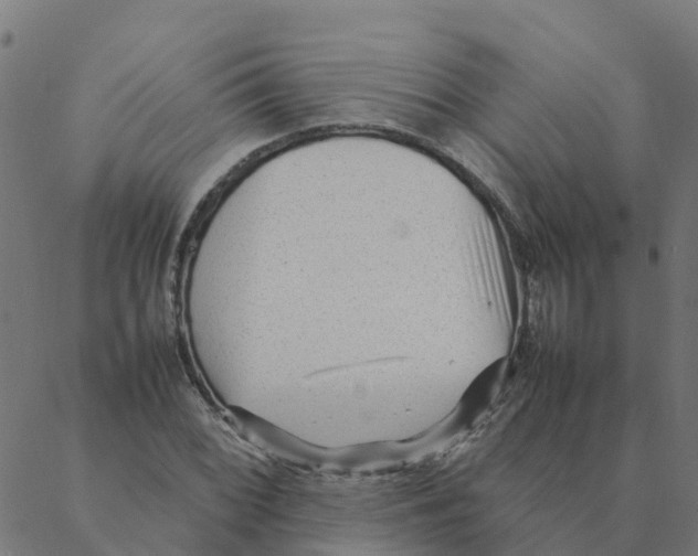 X0000087391068200705181301