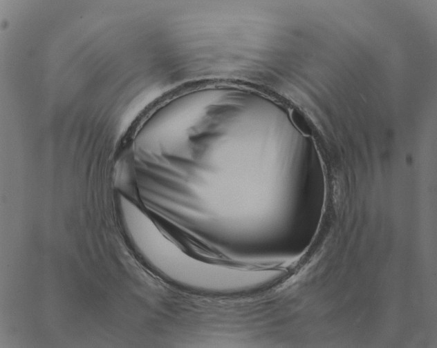 X0000087391069200705181301