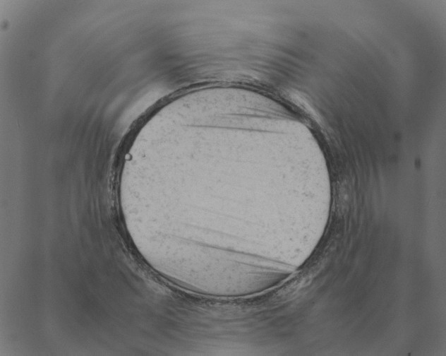 X0000087391071200705181301