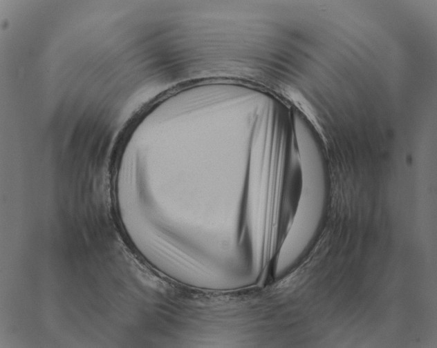 X0000087391072200705181301