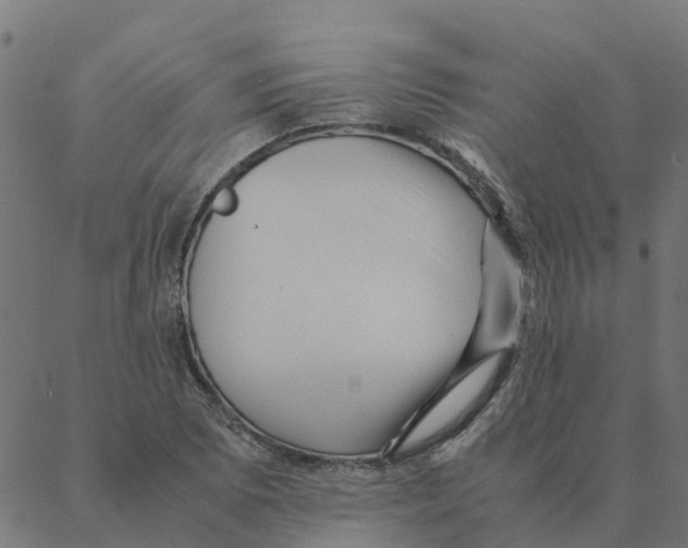 X0000087391073200705181301