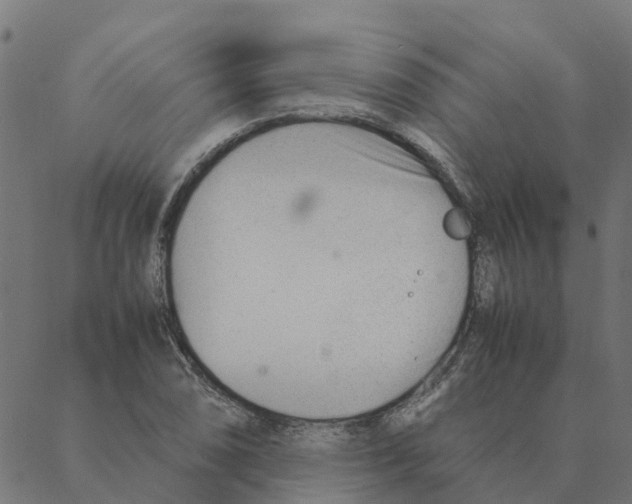 X0000087391074200705181301