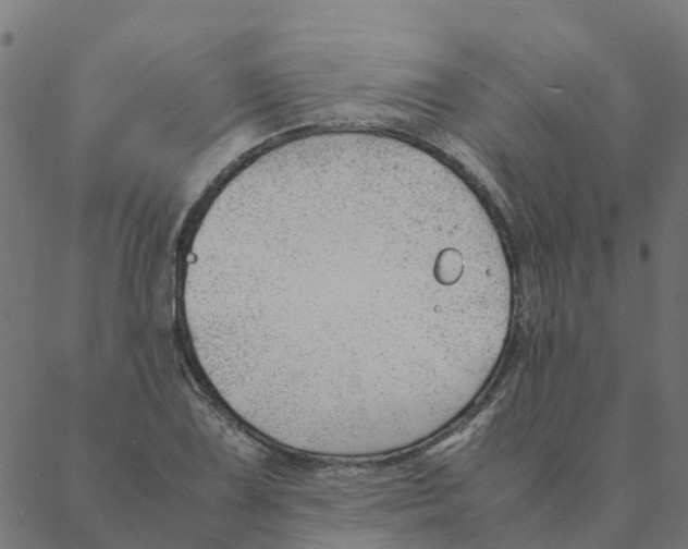 X0000087391075200705181301