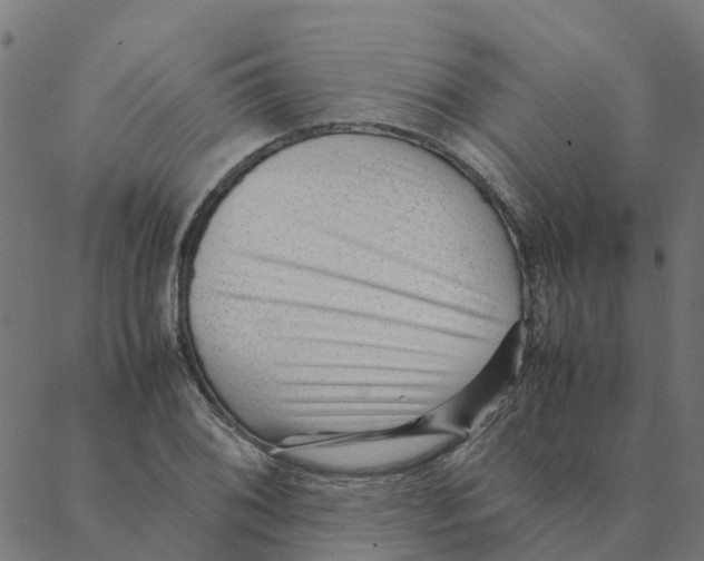 X0000087391076200705181301