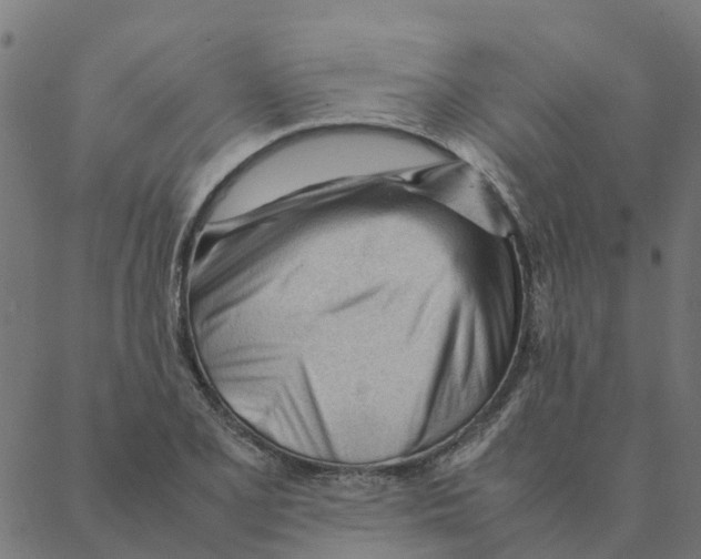 X0000087391077200705181301