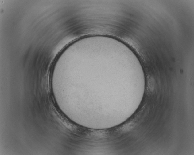 X0000087391078200705181301