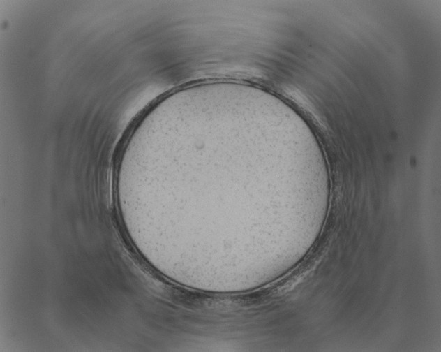 X0000087391079200705181301