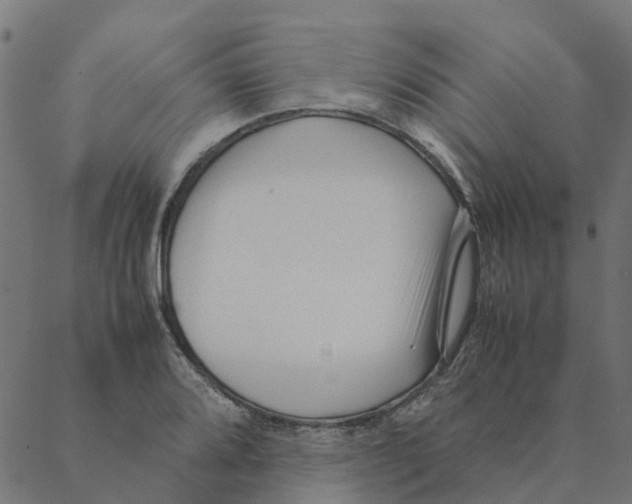 X0000087391080200705181301