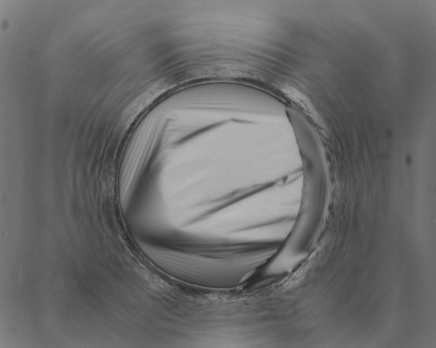 X0000087391081200705181301