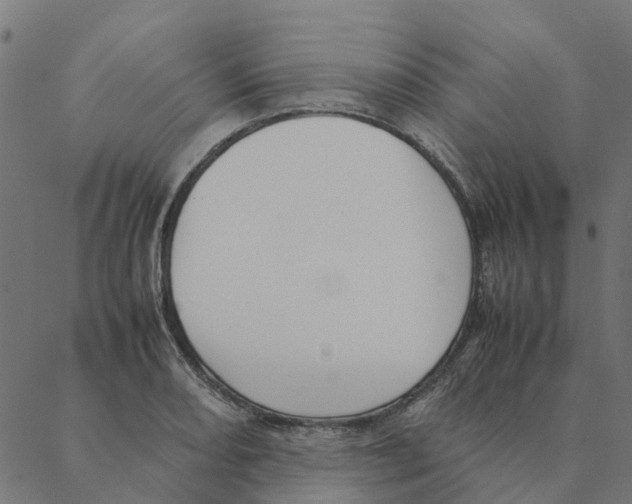 X0000087391082200705181301