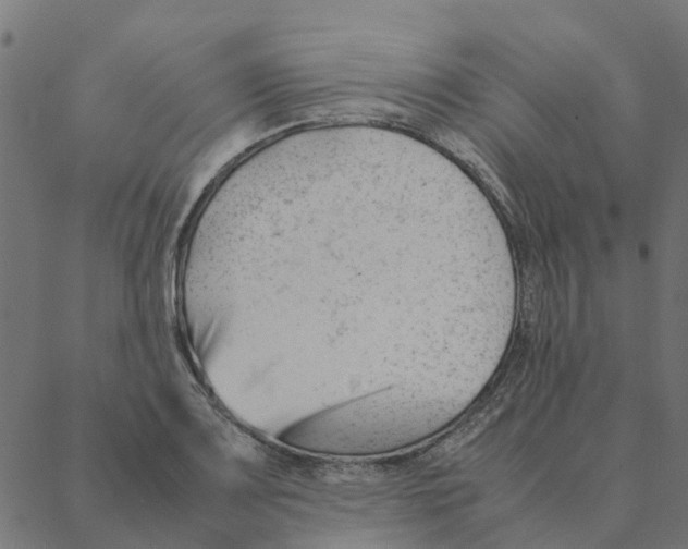 X0000087391083200705181301