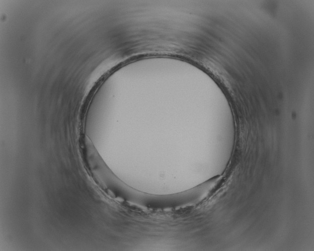 X0000087391085200705181301