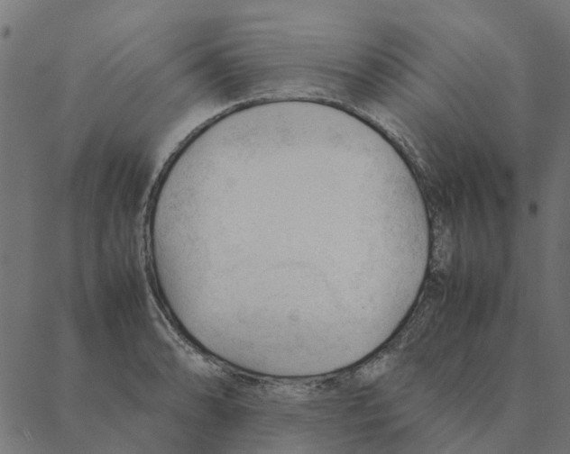 X0000087391086200705181301