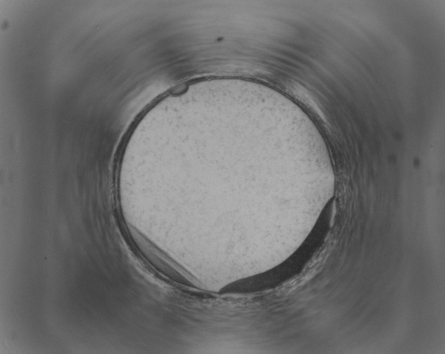 X0000087391087200705181301