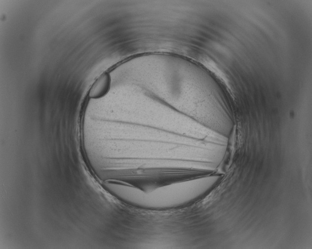 X0000087391088200705181301