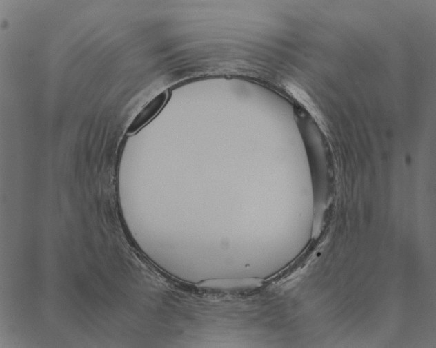 X0000087391089200705181301