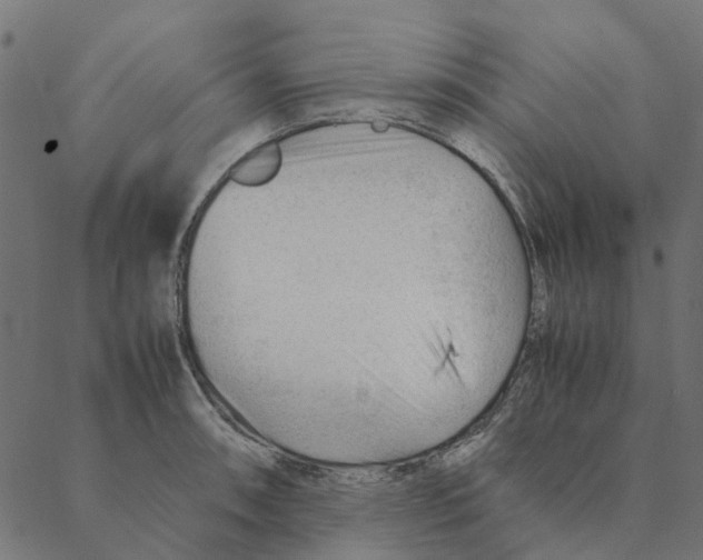 X0000087391090200705181301