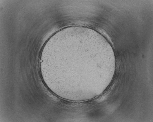 X0000087391091200705181301