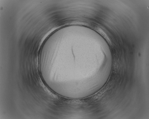 X0000087391092200705181301