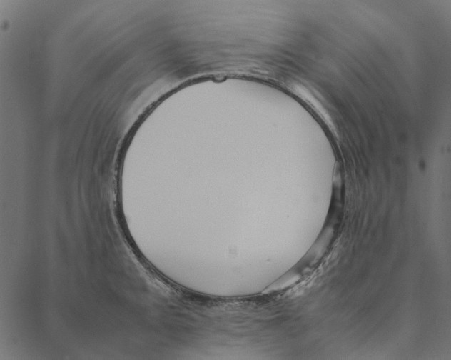 X0000087391093200705181301